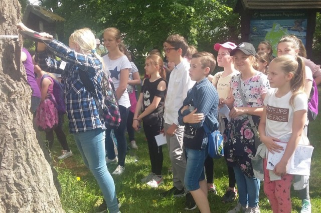 Uczestnicy konkursu w czasie wycieczki po Zaborskim Parku Krajobrazowym.