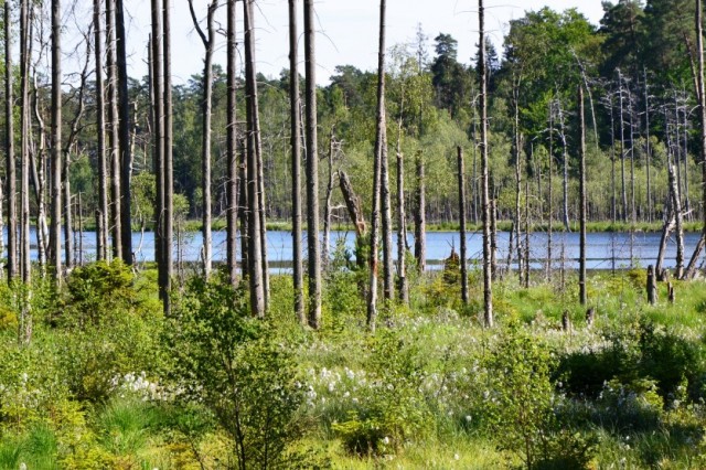 Rezerwat przyrody Kurze Grzędy fot. Monika Rekowska