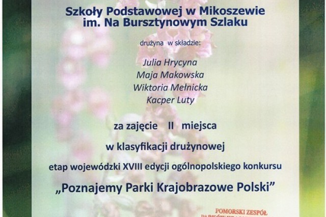 Dyplom.Fot. A. Sokołowska