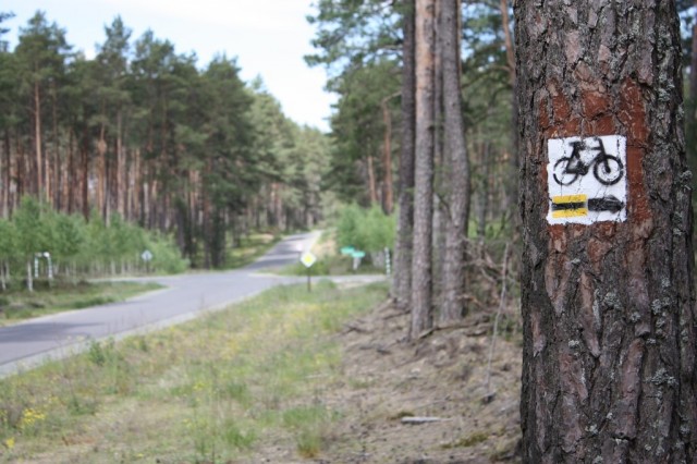 Skrzyżowanie dróg w kierunku Antoniewa, Warszyna, Rolbika i Małych Chełmów