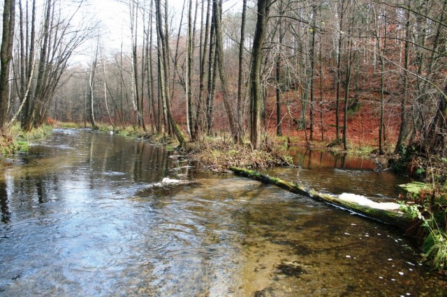 rzeka Trzebiocha