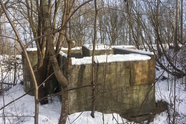 Nie użytkowane bunkry i fortyfikacje są doskonałym zimowiskiem dla nietoperzy.