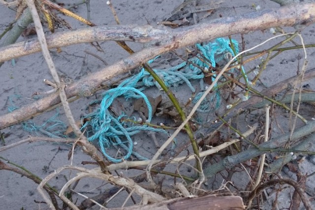 Resztki lin to pozostałości po sieciach rybackich, zagubionych podczas połowów. Stanowią zagrożenie dla wielu ryb i ssaków morskich.