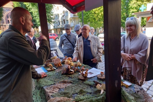 Wystawa grzybów na ulicy Nowobramskiej w Słupsku fot. A. Kasprzak