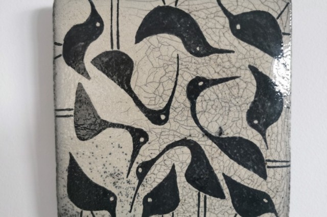 Ptaki siewkowe, Alicja Bielska
