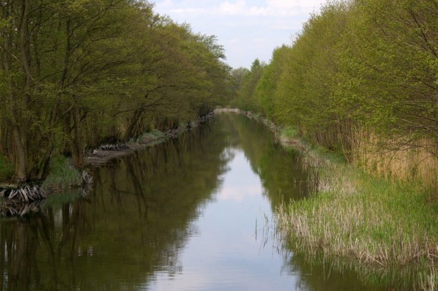 Rzeka Piaśnica