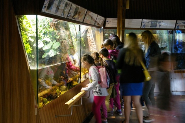Zwiedzanie Akwarium