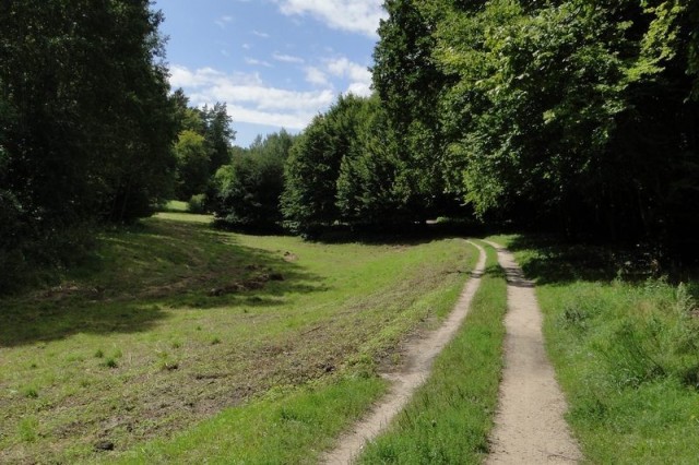 Łąka w Dolinie Samborowo po zabiegach ochrony czynnej - koszeniu (fot. Dariusz Ożarowski)