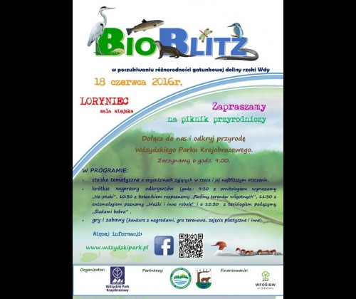 "BioBlitz - w poszukiwaniu różnorodności biologicznej doliny rzeki Wdy"