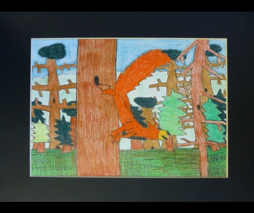 Refleksje pokonkursowe "Moje drzewo - tekstem - zdjeciem - ilustracją"