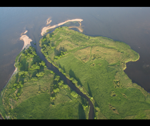 Rezerwat Beka – skarby przyrodnicze delty rzeki Redy
