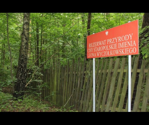 Warsztaty terenowe „Rezerwat Biosfery Bory Tucholskie”