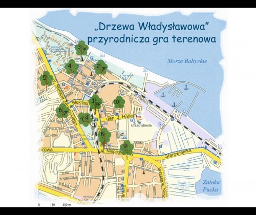 „Marszo-wiersz: Drzewa Władysławowa” - Przyrodnicza gra terenowa