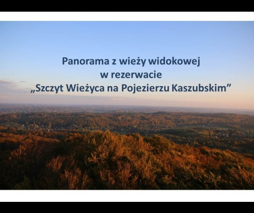 Panorama z wieży widokowej w rezerwacie „Szczyt Wieżyca na Pojezierzu Kaszubskim”