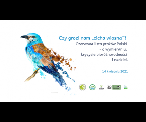 Czy grozi nam „cicha wiosna”? Czerwona lista ptaków Polski - o wymieraniu, kryzysie bioróżnorodności i nadziei.