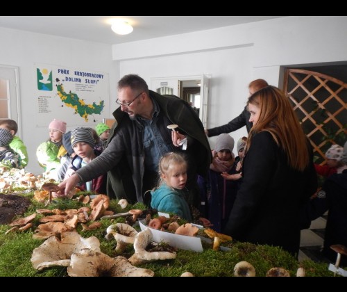 VII wystawa grzybów w PK "Dolina Słupi"