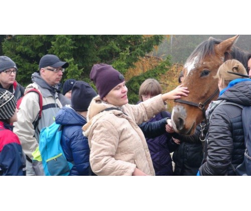 Zajęcia terenowe w Gospodarstwie Agroturystycznym „ Zagroda, koń i woda” w Bąkowie