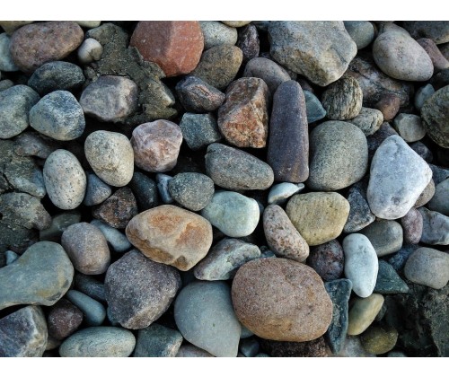 „Kamienie z Północy: warsztaty z oznaczania skał narzutowych”