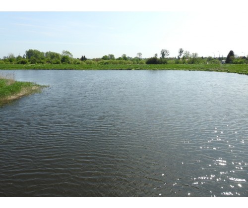 Opływ Motławy – wodny  Ogród miasta.