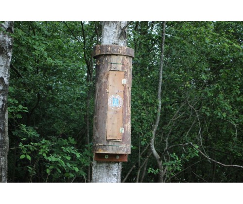 Ochrona owadów zapylających na obszarze Wdzydzkiego Parku Krajobrazowego