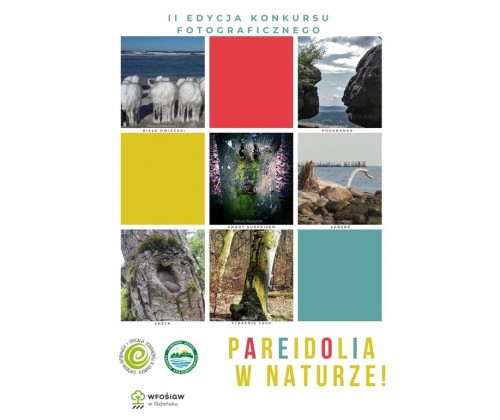 II edycja konkursu "Pareidolia w naturze"