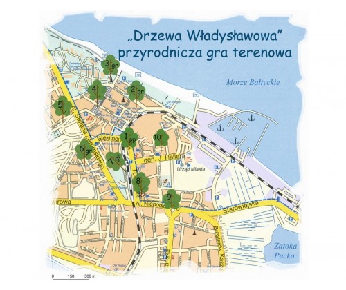 „Marszo-wiersz: Drzewa Władysławowa” - Przyrodnicza gra terenowa