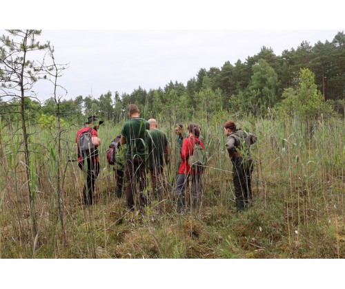 Czynna ochrona torfowisk na obszarze Wdzydzkiego Parku Krajobrazowego