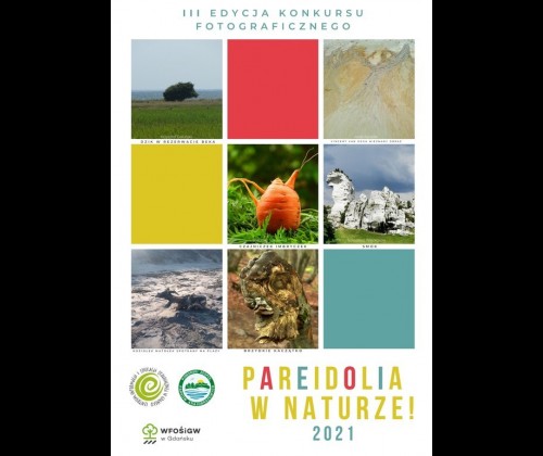 III edycja konkursu "Pareidolia w naturze"