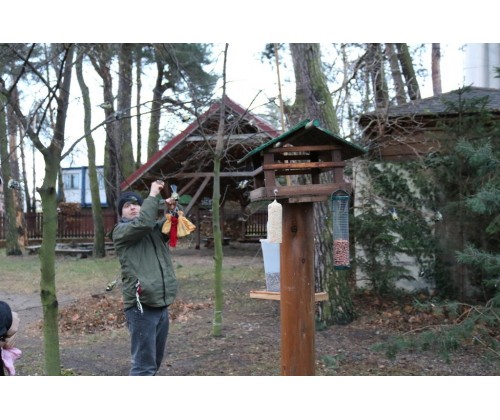 Rozpoczęliśmy Akację Karmnik - obrączkowanie ptaków zimą.